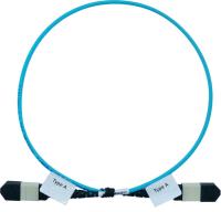 Softing MM_MPO_REFCORD_A - Патчкорд эталонный MPO (тип A, unpinned/unpinned) 0,5м