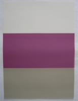 FIS F101095103 - Плёнка для полировки оптических коннекторов 3 в 1: 5 мкм, 1 мкм, 0.3 мкм, 9" x 13" (25 шт.)