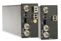 EXFO FTB-8130 модуль тестирования