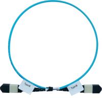 Softing MM_MPO_REFCORD_B - Патчкорд эталонный MPO (тип B, unpinned/unpinned) 0,5м