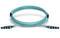 Фото Оптическая кабельная сборка  trunk cable